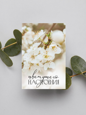 МИНИ-ОТКРЫТКА, КАРТОЧКА С ЦВЕТАМИ ЯБЛОНИ И ТЕКСТОМ "ЦВЕТУЩЕГО НАСТРОЕНИЯ" (6х9 см)