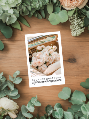 МИНИ-ОТКРЫТКА, КАРТОЧКА С БЕЛОЙ РАМКОЙ И РОЗОВЫМИ ГВОЗДИКАМИ В КАБРИОЛЕТЕ И ТЕКСТОМ "СРОЧНАЯ ДОСТАВКА ХОРОШЕГО НАСТРОЕНИЯ" (6х9 см)